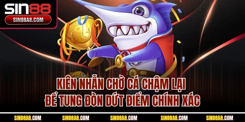 kien-nhan-cho-ca-cham-lai-de-tung-don-dut-diem-chinh-xac